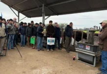Presentan un modelo ganadero para producir más carne con mayor eficiencia