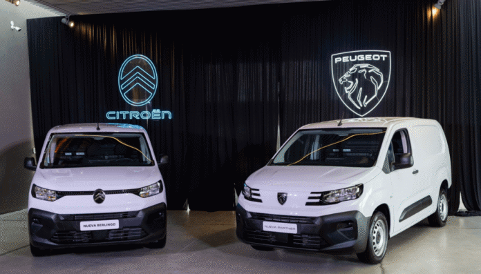 berlingo y partner