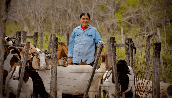 cabras chaco