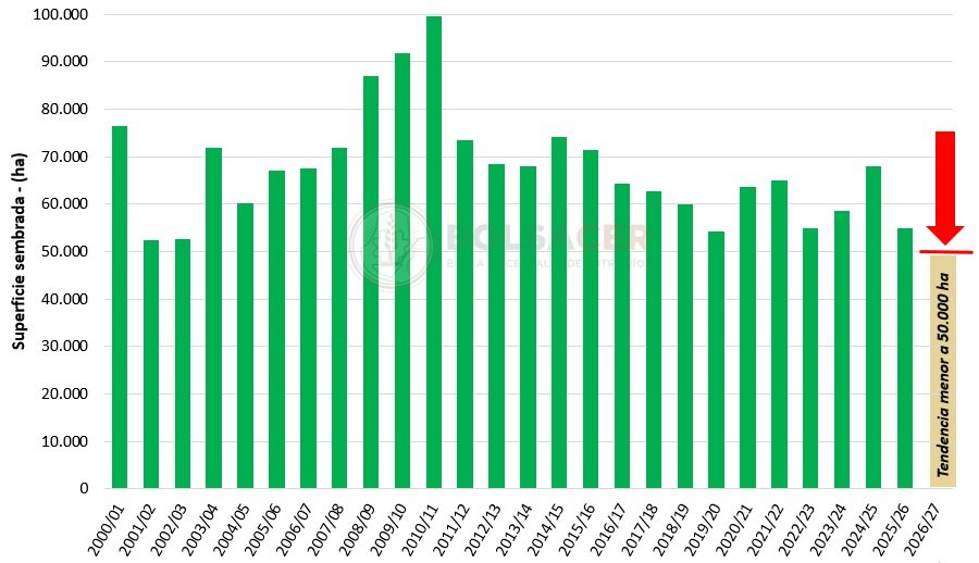 El Sistema de Información de la Bolsa de Cereales de Entre Ríos elaboró una estimación sobre la perspectiva de siembra de arroz para la campaña 2026/27 en la provincia, basada en datos aportados por referentes del sector.