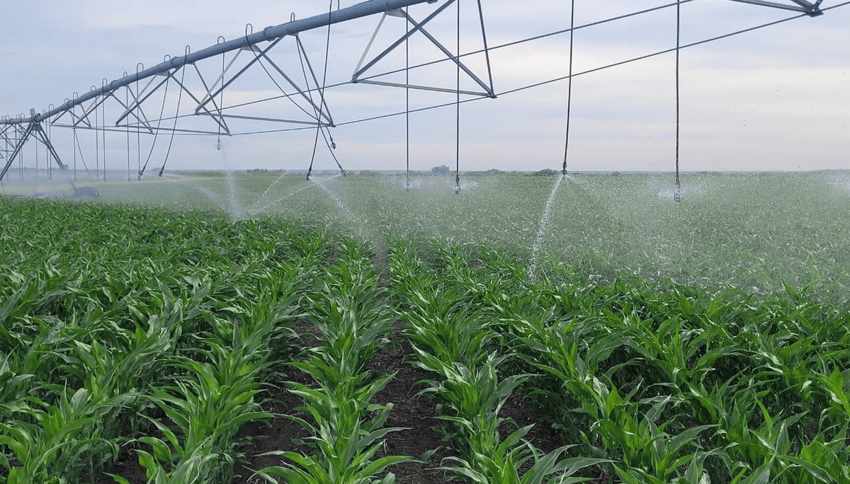 El riego, ante un cambio de paradigma: de tecnología complementaria a pilar de la nueva agricultura 1 riego pivote rio negro