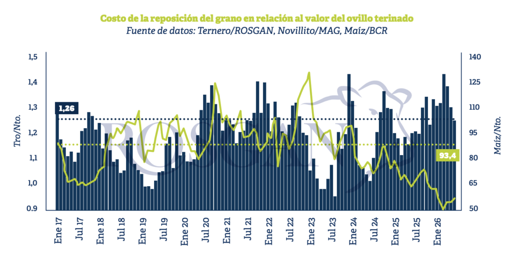 En los primeros seis meses del año, la faena bovina estaría superando muy ligeramente los 6 millones de animales. Como dato preliminar, las remisiones a plantas de faena registradas mediante el DTe registran el traslado de 1.081.077 vacunos durante el último mes.