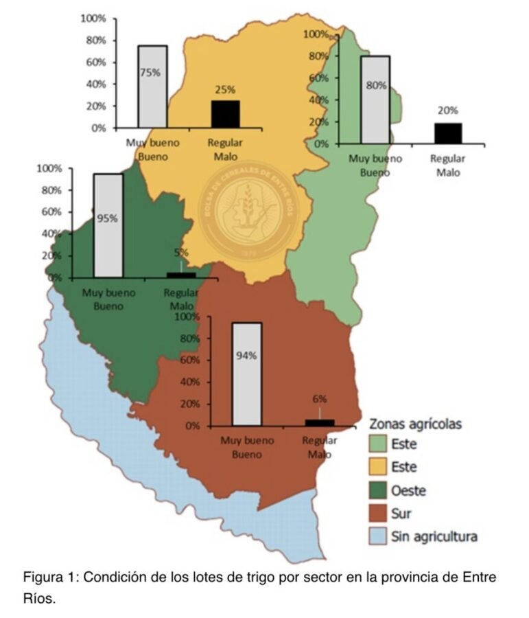 Según el último reporte del Sistema de Información de la BolsaCER, en la provincia de Entre Ríos la siembra de trigo correspondiente al ciclo 2026/27 se encuentra cerca de su finalización. En base a las primeras proyecciones se detectaba una intención de siembra de 600.