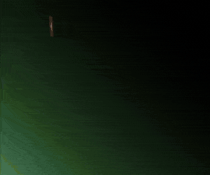 spot_img