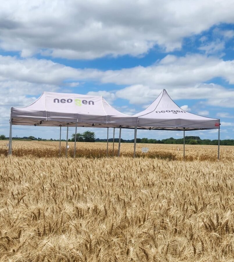 Desde Neogen, marca de GDM, aportan evidencia sobre el impacto de las recientes heladas en el trigo, y explican por qué el daño visible no siempre se traduce en pérdidas de rendimiento. Además, ofrecen recomendaciones de manejo para una campaña que recién comienza.