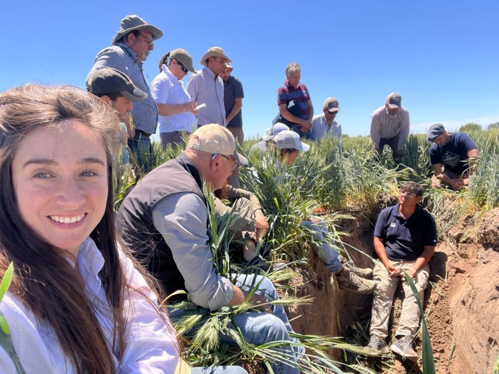 Experiencias y desafíos de una región cuyo potencial la convierte en una de las grandes promesas agrícolas del país, comparable con el cinturón maicero de Estados Unidos. Anticipamos uno de los paneles del Congreso Aapresid, con la fuerza de Expoagro, del 4 al 6 de agosto en Rosario.