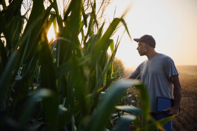Bayer estima una brecha de rendimiento de hasta 40% y apuesta a los datos y la agricultura variable para mejorar productividad y márgenes.