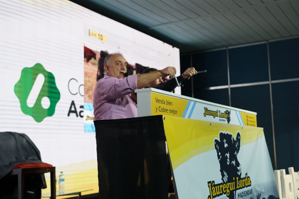 La oferta se amplía este año con mayor cantidad de cabezas y la participación de los martillos de Jáuregui Lorda, AFA y ROSGAN, a través de uno de sus socios operadores, Pastore y CIA.