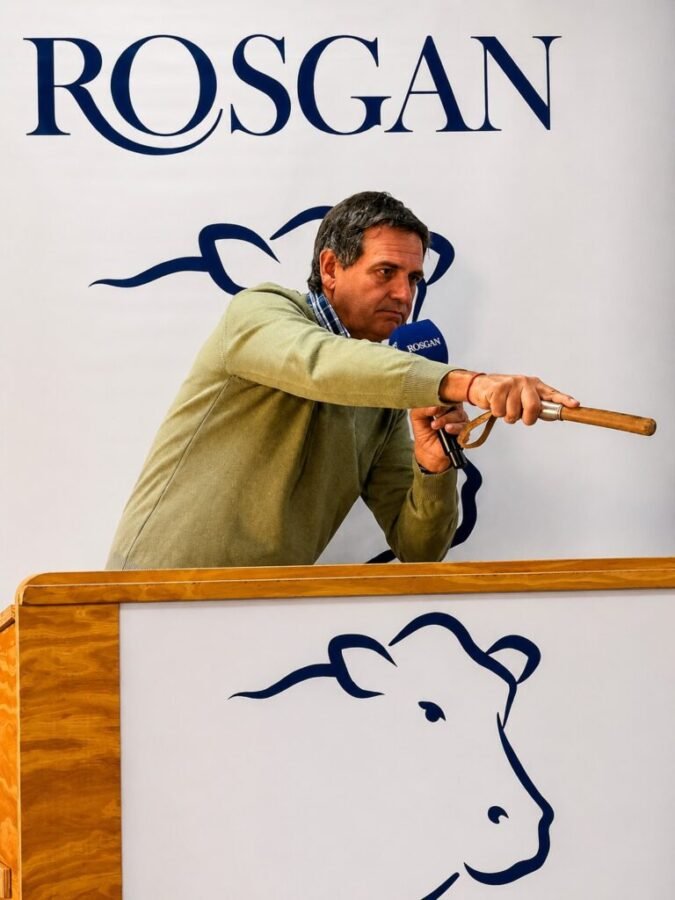 La oferta se amplía este año con mayor cantidad de cabezas y la participación de los martillos de Jáuregui Lorda, AFA y ROSGAN, a través de uno de sus socios operadores, Pastore y CIA.
