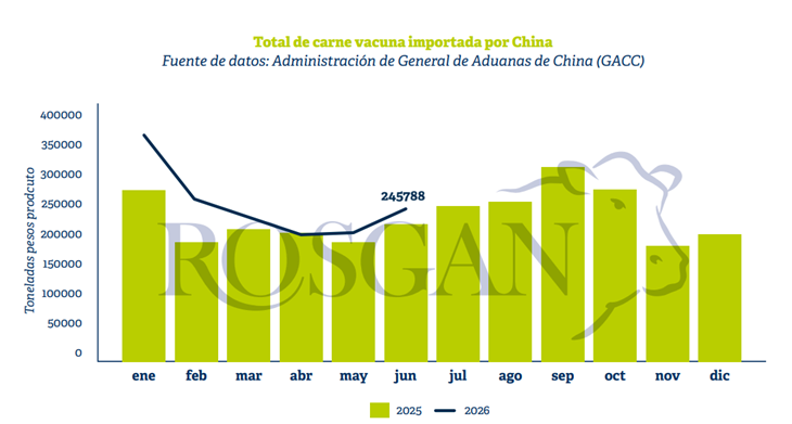 De acuerdo con los datos publicados por la Administración General de Aduanas de China, durante el primer semestre de 2026 el país importó 1,53 millones de toneladas de carne vacuna. Esto representa un incremento del 17,5% respecto del mismo período del año anterior.