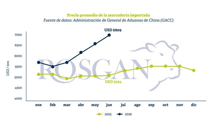 De acuerdo con los datos publicados por la Administración General de Aduanas de China, durante el primer semestre de 2026 el país importó 1,53 millones de toneladas de carne vacuna. Esto representa un incremento del 17,5% respecto del mismo período del año anterior.