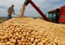 El 65 % de la producción agrícola se concentra cerca de los principales puertos