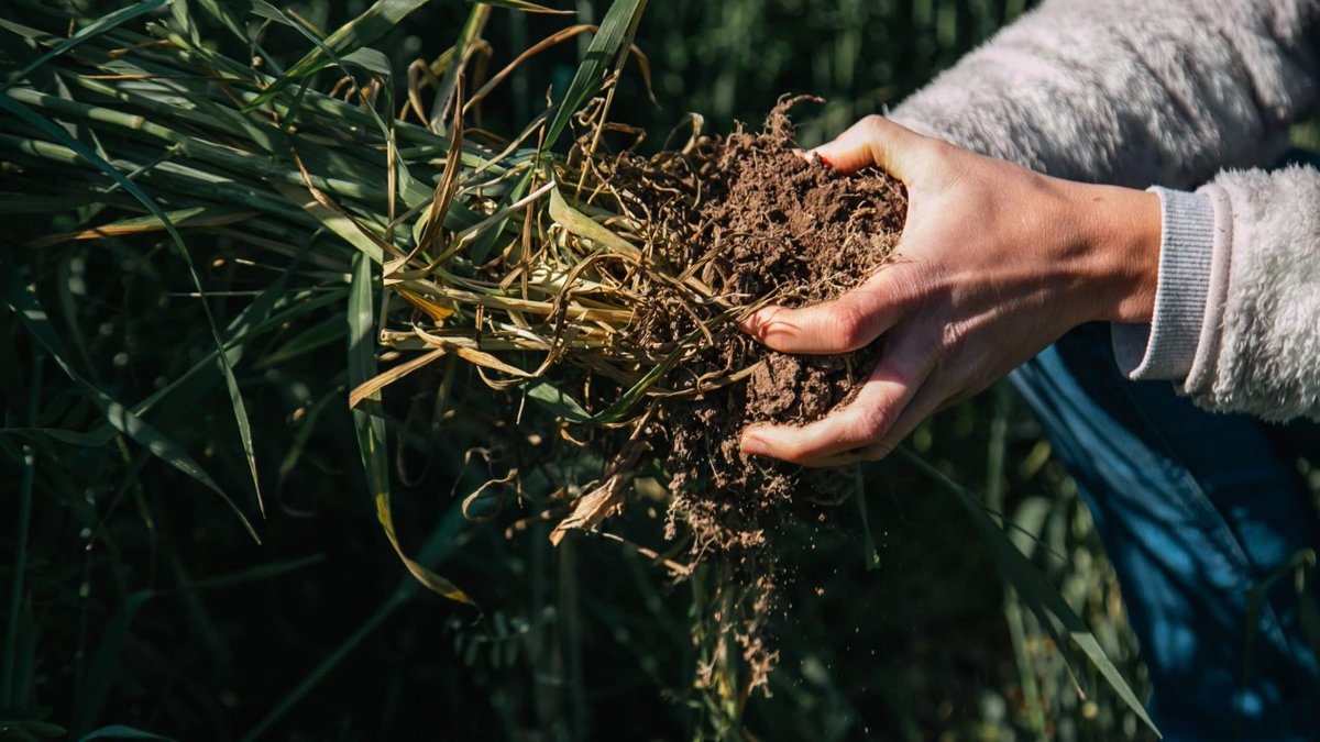 Por el camino de la menor huella de carbono: la agricultura regenerativa se fortalece en Argentina