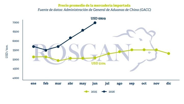 China otra vez sopla a favor de la carne argentina: aumenta importaciones y sube los precios 1 rosga1