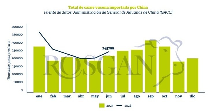 China otra vez sopla a favor de la carne argentina: aumenta importaciones y sube los precios 2 rosgan 1
