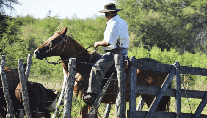 trabajador rural peon caballo ganado