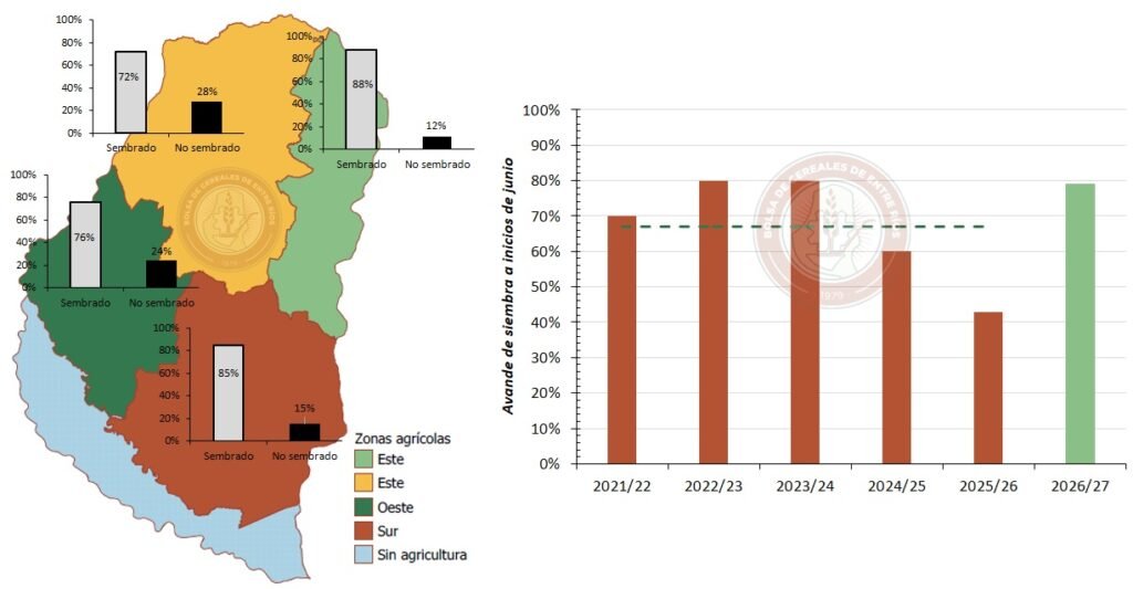 Finalmente, los colaboradores reportan que se han realizado aplicaciones con insecticidas para el control de pulgón, donde por manchones se aprecian daños significativos.
Lino
El área planificada para la siembra de lino en la campaña 2026/27 en Entre Ríos se posicionaría en 9.