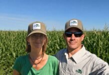 El girasol gana terreno y Zeta Semillas redobla su apuesta: ahora va por el mercado de maíz Los híbridos de girasol de Zeta Semillas fueron evaluados en redes de ensayos de distintas regiones productivas del país.