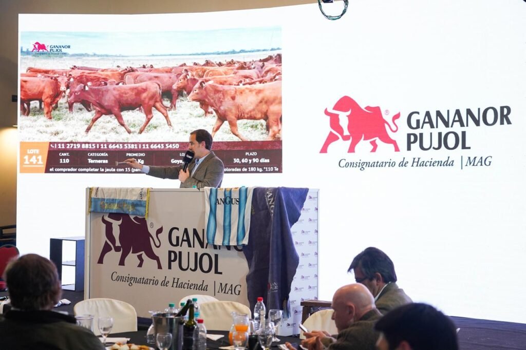 Este viernes 28 de agosto, desde las 12 horas, Galicia y Gananor Pujol realizarán su primer Gran Remate en Torre Galicia. Con la fuerza de Expoagro, más de 13.