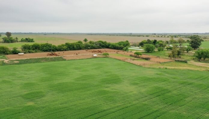 federacion agraria cdc
