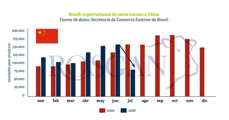 El país vecino, como exportador mundial de carne vacuna, parece haber ingresado en un escenario en el que su propia fortaleza comienza, paradójicamente, a exponerlo a una mayor vulnerabilidad.