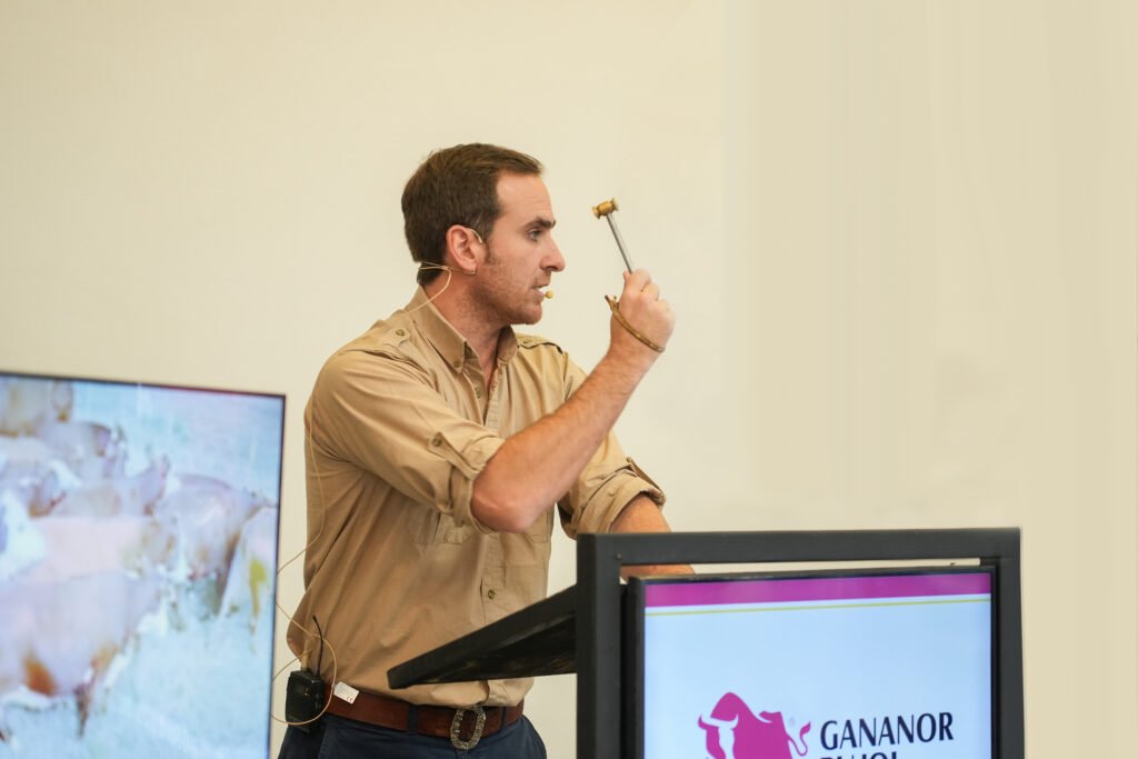 Galicia y Gananor Pujol realizarán su primer Gran Remate el viernes 28 de agosto en la Torre Galicia. Con la fuerza de Expoagro, saldrán a la venta más de 12.000 cabezas, con una destacada oferta de hacienda de invernada, terneros y novillitos para recría, además de vacas y vaquillonas.