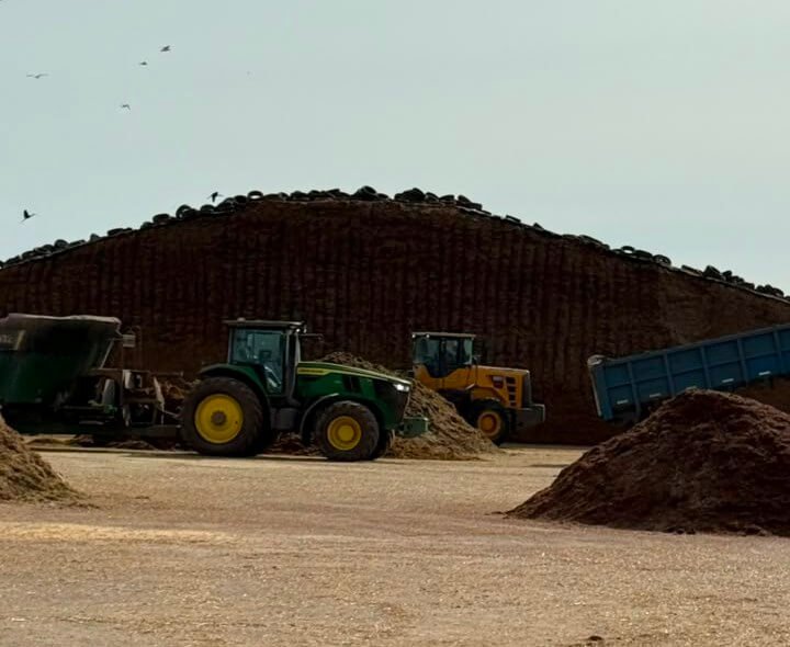 Silaje de maíz: la calidad del forraje se construye mucho antes de que la picadora entre al lote 3 Silaje de maíz: la calidad del forraje se construye mucho antes de que la picadora entre al lote 3