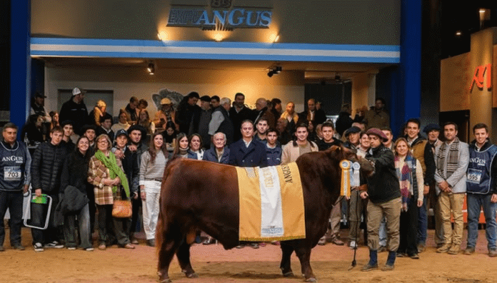 agustin ochoa y equipo
