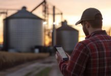 La actividad agropecuaria marcó un nuevo récord
