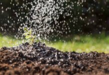 La suba de fertilizantes elevó el costo importador