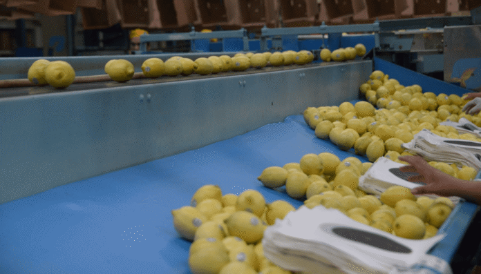 limones