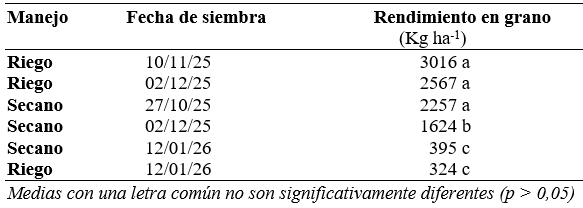 La fecha de siembra, clave: el sésamo busca abrirse como alternativa productiva desde Córdoba 1 maich sesamo
