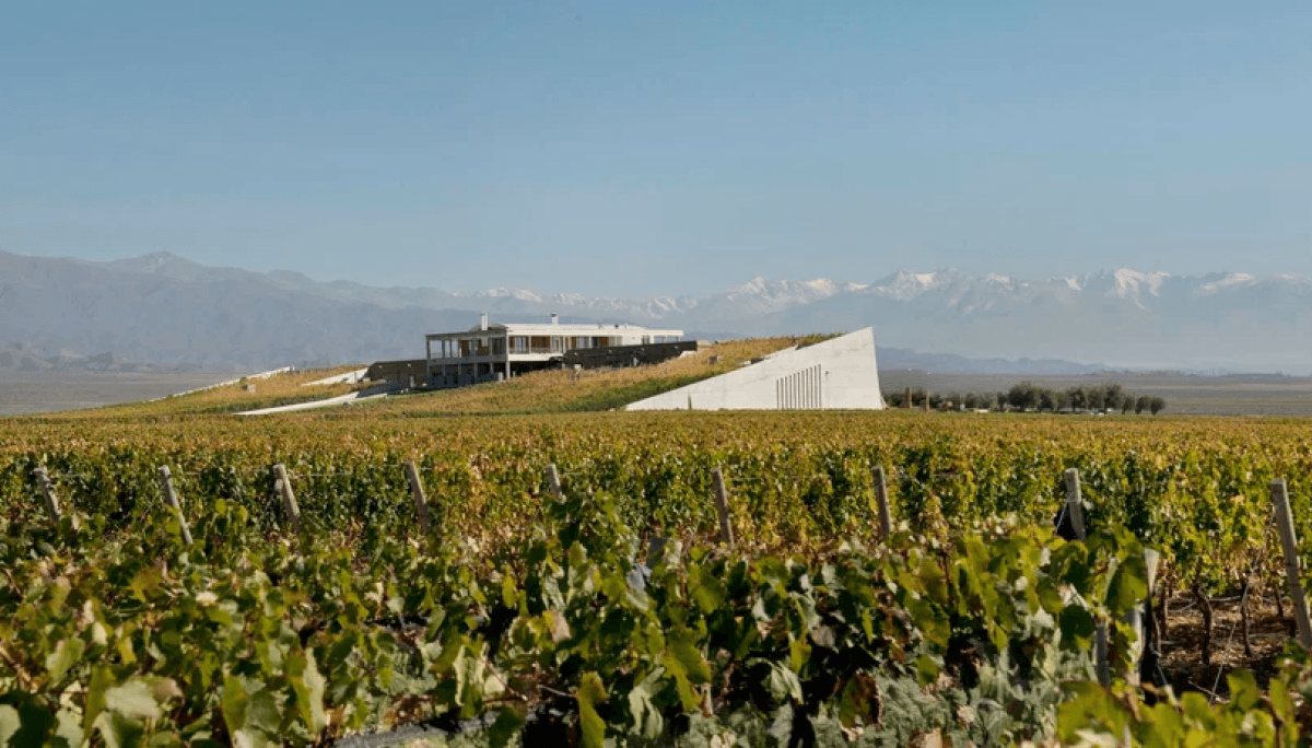 monteviejo bodega