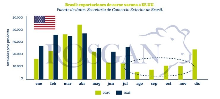 El país vecino, como exportador mundial de carne vacuna, parece haber ingresado en un escenario en el que su propia fortaleza comienza, paradójicamente, a exponerlo a una mayor vulnerabilidad.