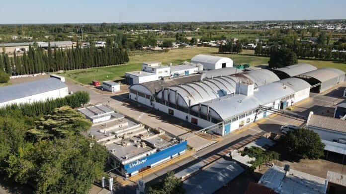 unilever planta mendoza