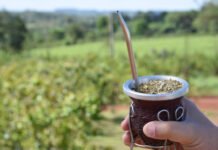 La Marca País refuerza la proyección internacional de la yerba mate
