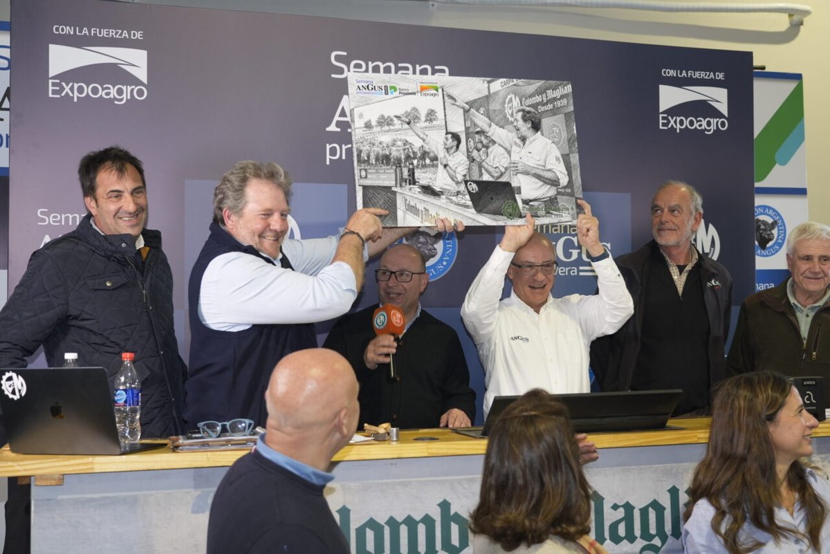 La consignataria llevó adelante un remate televisado de invernada, cría y faena, con gran participación de compradores y valores firmes para la hacienda de calidad.
Colombo y Magliano concretó un remate televisado con 11.