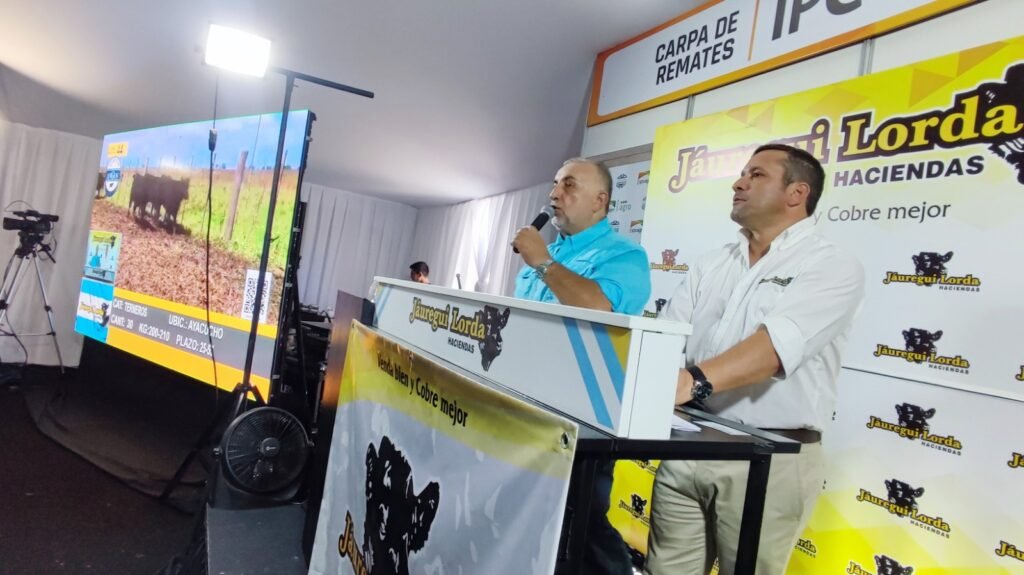 Con una histórica relación con la Asociación Argentina de Angus y una propuesta de asesoramiento integral para el productor, la consignataria será parte de la Semana Angus de Primavera edición Banco Provincia, con la fuerza de Expoagro.