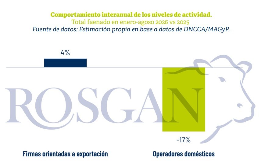 La menor disponibilidad de hacienda está comenzando a ejercer una presión creciente sobre la industria frigorífica.