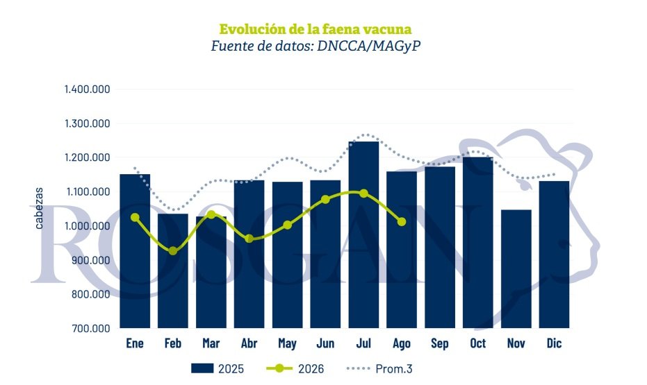 La menor disponibilidad de hacienda está comenzando a ejercer una presión creciente sobre la industria frigorífica.