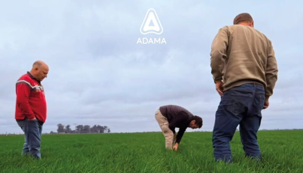 Treinta años de innovación y apoyo técnico impulsan transformación productiva y social del campo argentino