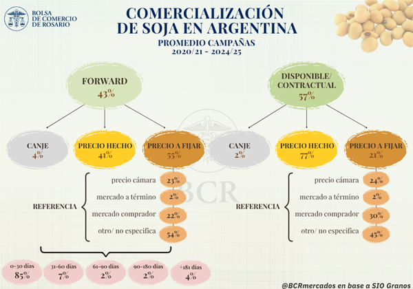 En el presente artículo realizamos un recorrido por el circuito comercial de uno de los principales cultivos del país: dónde se origina el grano, hacia dónde se dirige y cuáles son las principales modalidades de negociación, entrega y fijación de precios.