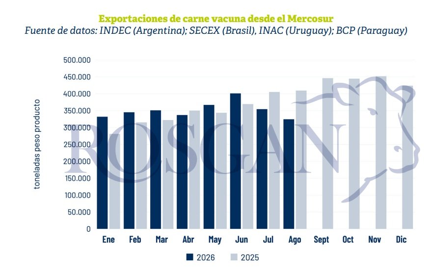 En los últimos dos meses, la oferta de carne vacuna proveniente del Mercosur evidencia una importante contracción, fuertemente condicionada por el cambio de ritmo impuesto por Brasil.