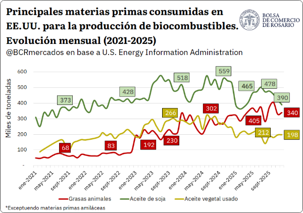 En 2025, Argentina envió al exterior cerca 154.808 t de sebo bovino, un volumen inimaginable 10 años atrás. En este sentido, se propone un recorrido que aborde los últimos acontecimientos que llevaron a la reconfiguración de este mercado.
En 2015, la Argentina había colocado 6.