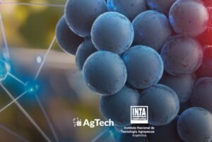Incorporar herramientas digitales, inteligencia artificial y plataformas de gestión, desde el viñedo hasta la comercialización, marca la diferencia. Desde el INTA destacan la importancia de conectar datos, personas y procesos para producir de manera más competitiva e integrada.