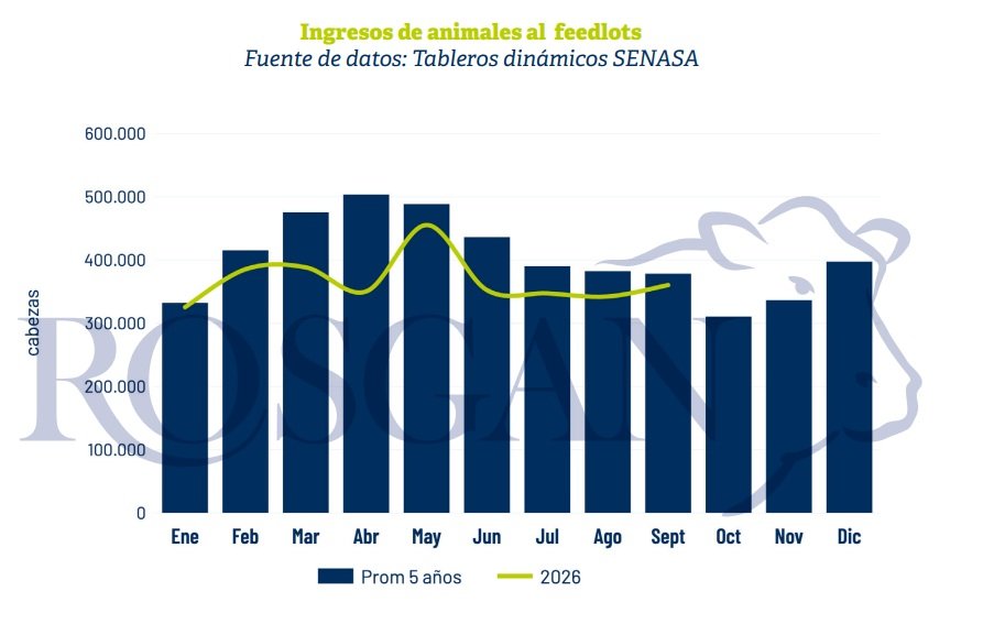 La dinámica de ingreso y egreso de animales de los feedlots suele presentar un comportamiento bastante estacional. Históricamente, el pico de ingresos se concentra entre febrero y junio, dependiendo principalmente del ritmo de salida de la invernada que registran los campos.