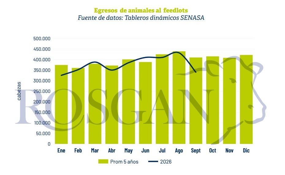 La dinámica de ingreso y egreso de animales de los feedlots suele presentar un comportamiento bastante estacional. Históricamente, el pico de ingresos se concentra entre febrero y junio, dependiendo principalmente del ritmo de salida de la invernada que registran los campos.