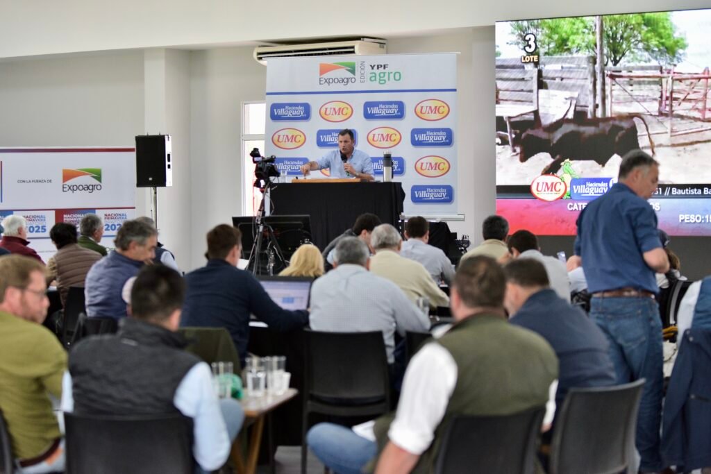 La consignataria tendrá a su cargo el remate del lunes 5 de octubre y las ventas de reproductores y vientres del jueves 8, en el marco de la 3ª edición de la Nacional Primavera Braford.