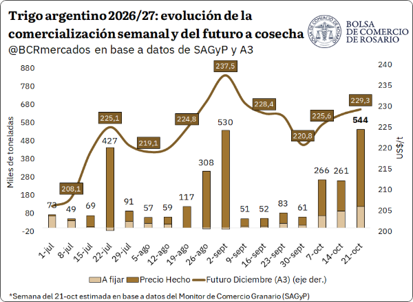 El maíz argentino gana espacio ante las trabas en el Mar Negro y una menor oferta de Brasil y EE. UU. En trigo repunta la comercialización nueva, mientras la soja cae presionada por la gran cosecha de EE. UU. y la cautela china.